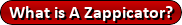 hulda clark zappicator